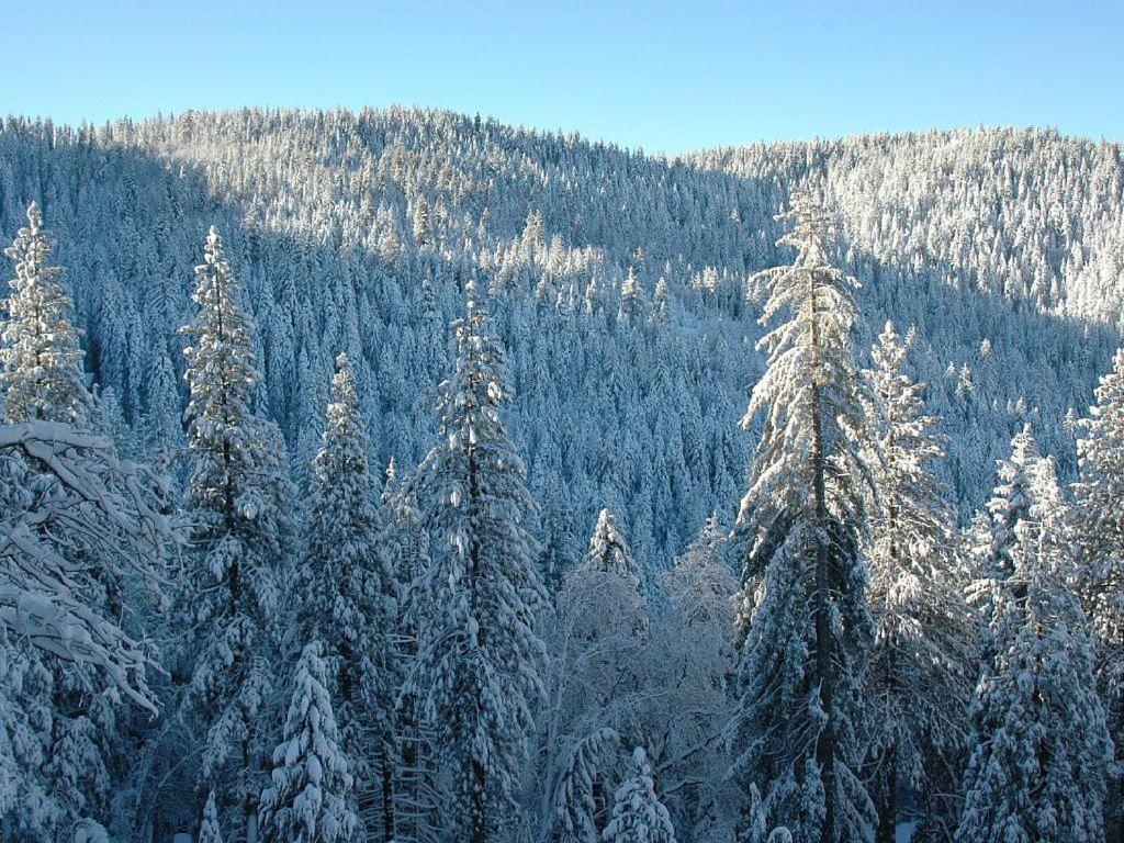 Birds Eye Vista Villa Yosemite West Kültér fotó